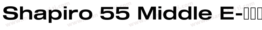 Shapiro 55 Middle E字体转换